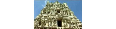 61. திருநீர்மலை 